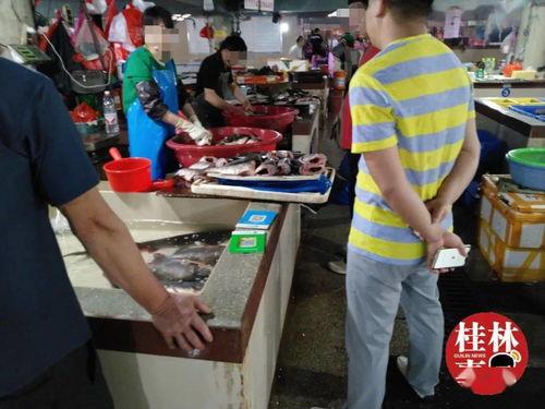 娱乐吃瓜酱转钱,揭秘“转钱”背后的秘密