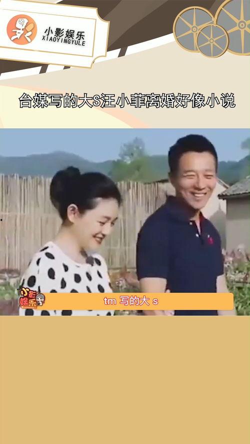 娱乐吃瓜 汪小菲小说,汪小菲的娱乐吃瓜小说